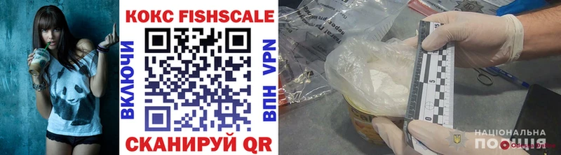 где найти наркотики  Порхов  Cocaine Fish Scale 