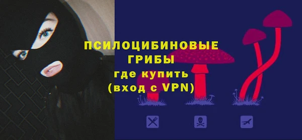 PSILOCYBIN Нея