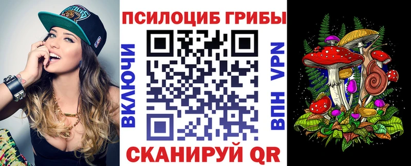 ссылка на мегу как войти  Порхов  Галлюциногенные грибы MAGIC MUSHROOMS 